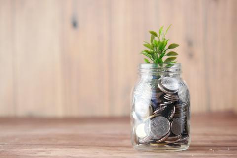 Jar filled with money with a small seedling growing out of it